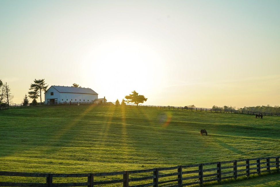 Pursuing a Homestead Hobby Presents a New Lease on (Retired) Life