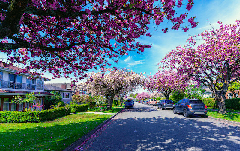 Affordability: New Westminster vs Burnaby Homes